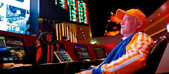 Вход на официальный сайт Casino Zooma